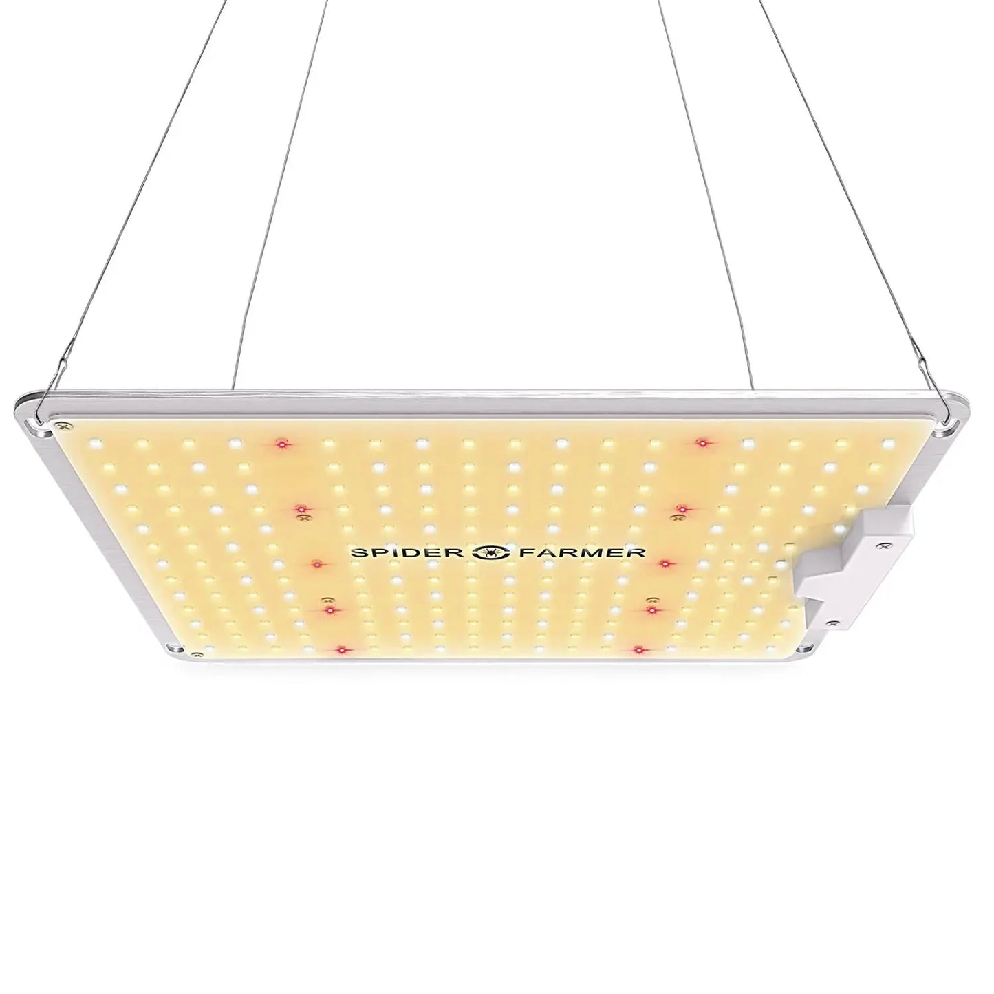 Led Light SF-1000